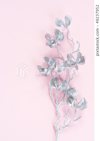 Magnolia Flowers on pink Magnolia Flowers on pink 49237952