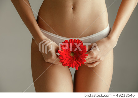 Young woman with epilated bikini zone holding flower on light background Young woman with epilated bikini zone holding flower on light background 49238540