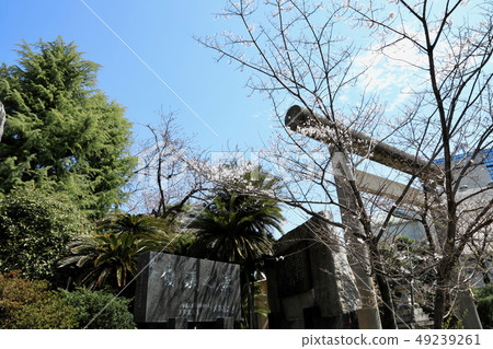 Nohi Gokoku Shrine Torii (Gifu Prefecture) Nohi Gokoku Shrine Torii (Gifu Prefecture) 49239261