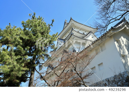 大垣城(岐阜縣) 大垣城(岐阜縣) 49239296