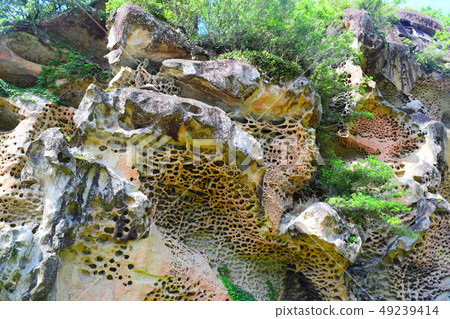 Bugokuiwa [Nanki Kumano Geopark] 49239414