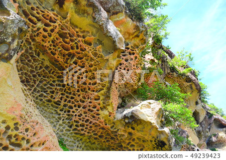 Bugokuiwa [Nanki Kumano Geopark] 49239423