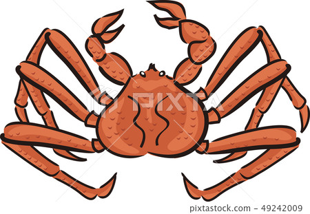 King crab King crab 49242009