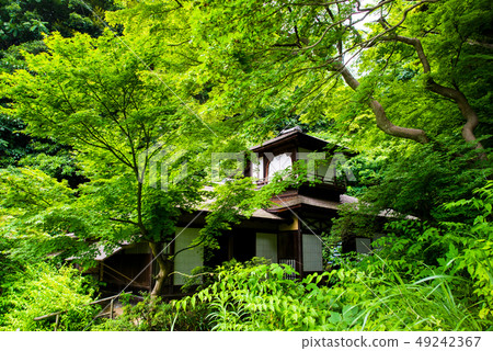 Yokohama Sankeien Garden Aomori and Hearing Cabinet Yokohama Sankeien Garden Aomori and Hearing Cabinet 49242367