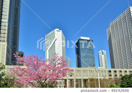 Shinjuku subcenter in spring, buildings and sakura 49242698