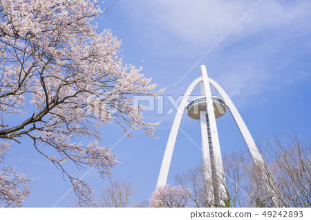 138 Tower Park and Sakura 49242893