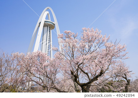 138 Tower Park和Sakura 138 Tower Park和Sakura 49242894