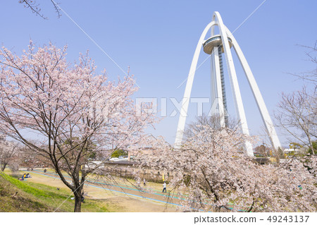 138 Tower Park and Sakura 49243137