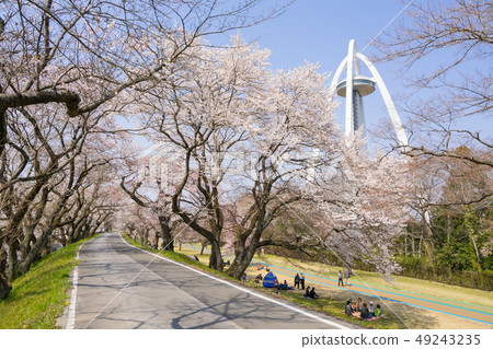 138 Tower Park和Sakura 138 Tower Park和Sakura 49243235