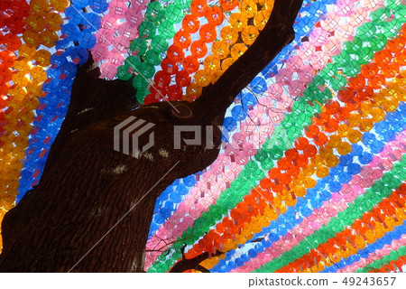 Lantern Lantern 49243657