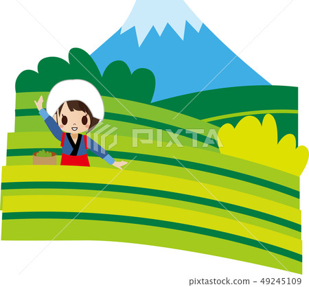 靜岡茶園 49245109