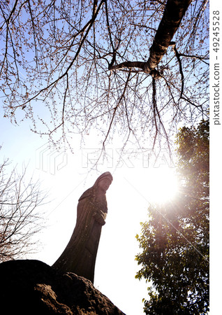 Jizo like Kannon like outdoor 49245528