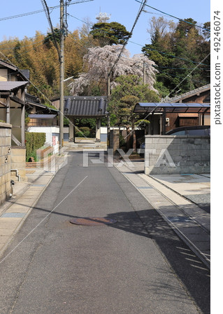 A path leading to the gate of Bodhi Temple in Matsue City, Shimane Prefecture 49246074