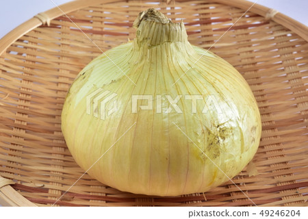 新年 新年 49246204