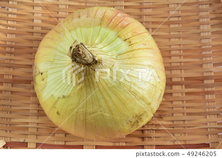 新年 新年 49246205