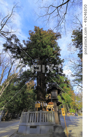 Akinomiya March 49246850