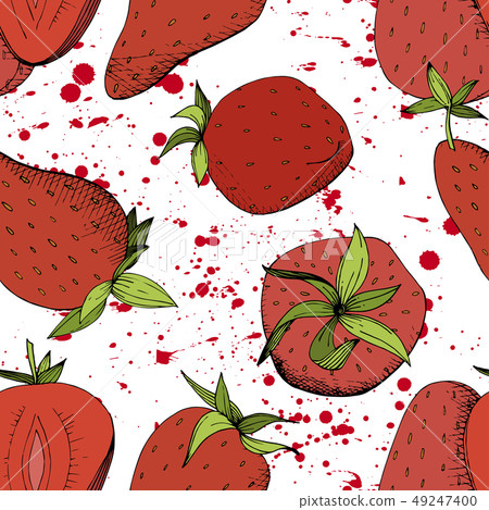 Vector Strawberry fresh fruit healthy food. Red and green engraved ink art. Seamless background Vector Strawberry fresh fruit healthy food. Red and green engraved ink art. Seamless background 49247400