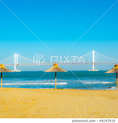 Sea 49247610