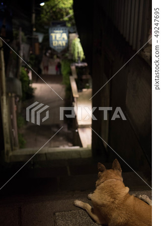 盼望 盼望 49247695