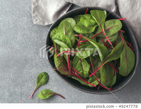 Fresh salad of green chard leaves or mangold Fresh salad of green chard leaves or mangold 49247778