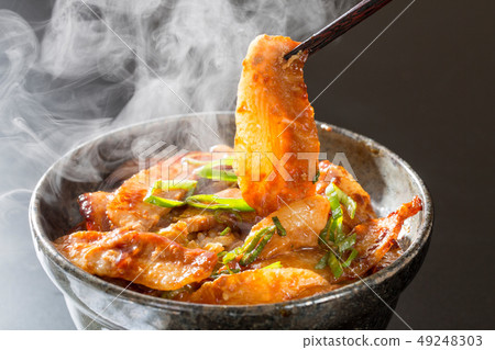 Pork with teriyaki sauce Pork with teriyaki sauce 49248303