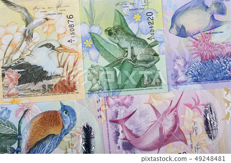Bermudian Dollar a business background  49248481
