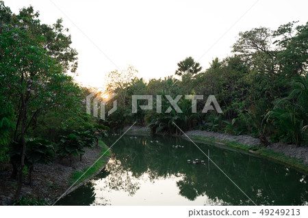 Pond in public park with Sun rise. Pond in public park with Sun rise. 49249213