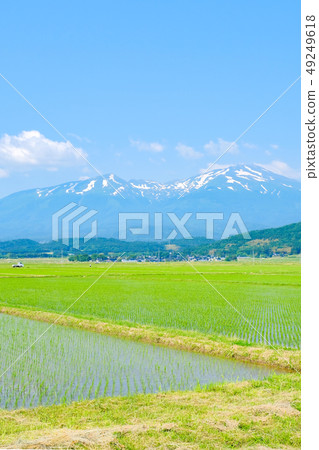 Mt. Chokai in early summer seen from Sakata City 49249618