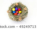 colored easter quail eggs in grass nest with bumps 49249713