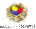 colored easter eggs in grass nest with bumps 49249714