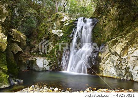 Tsubaki-no-taki Otaki (Mimasu City, Okayama Prefecture) Tsubaki-no-taki Otaki (Mimasu City, Okayama Prefecture) 49250021