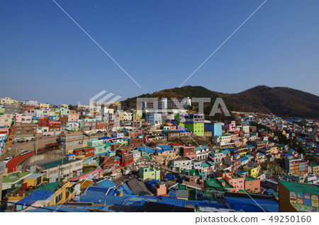 Amakawa cultural village where bright buildings line up 49250160