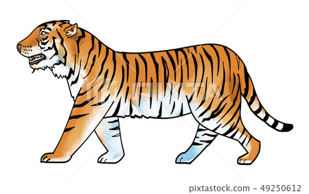 側身虎 49250612