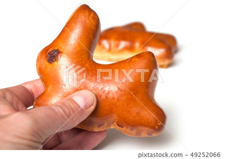 closeup of  traditional  buns in shaped rabbit 49252066