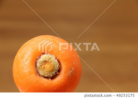 Cross section of the root of the stem and leaf of a carrot. 49253175