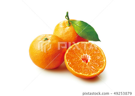Wenzhou oranges 49253879