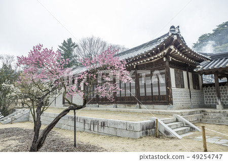 An old house 49254747