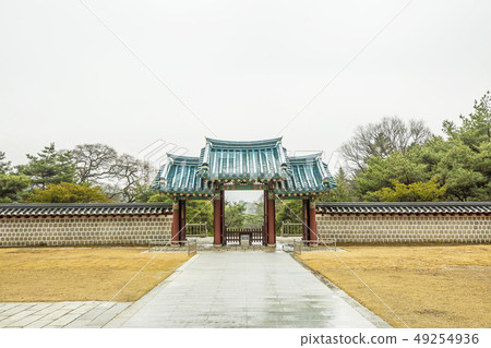 Pheasant Pheasant 49254936