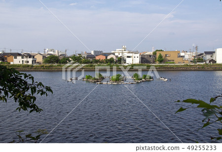 Arako河的看法 Arako河的看法 49255233