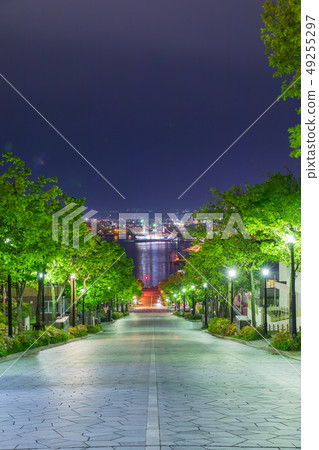 Hakodate _ Yahatasaka light up 49255297