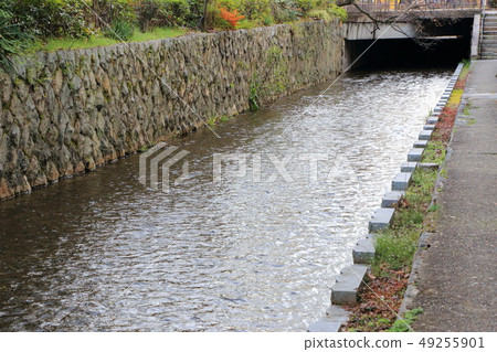 京都高瀨河的流動 京都高瀨河的流動 49255901