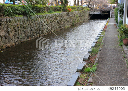 京都高瀨河的流動 京都高瀨河的流動 49255903
