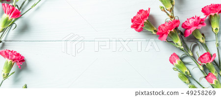 Bouquet of pink carnation on light turquoise wooden background 49258269