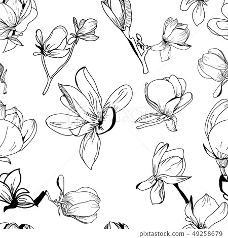 Vector pattern hand drawn Collection of magnolia Vector pattern hand drawn Collection of magnolia 49258679