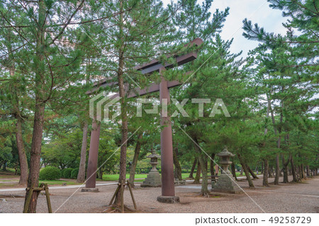 Izumo Taisha Matsu no Torii Torii 49258729