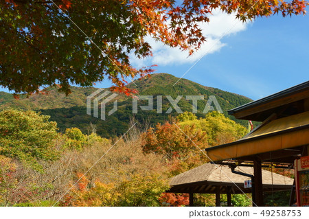 Autumn of Fukuchi mountain pass 49258753
