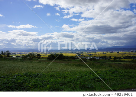 Countryside Countryside 49259401