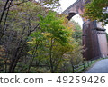 Spectacle bridge 49259426