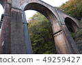 Spectacle bridge 49259427