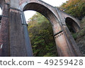 Spectacle bridge 49259428